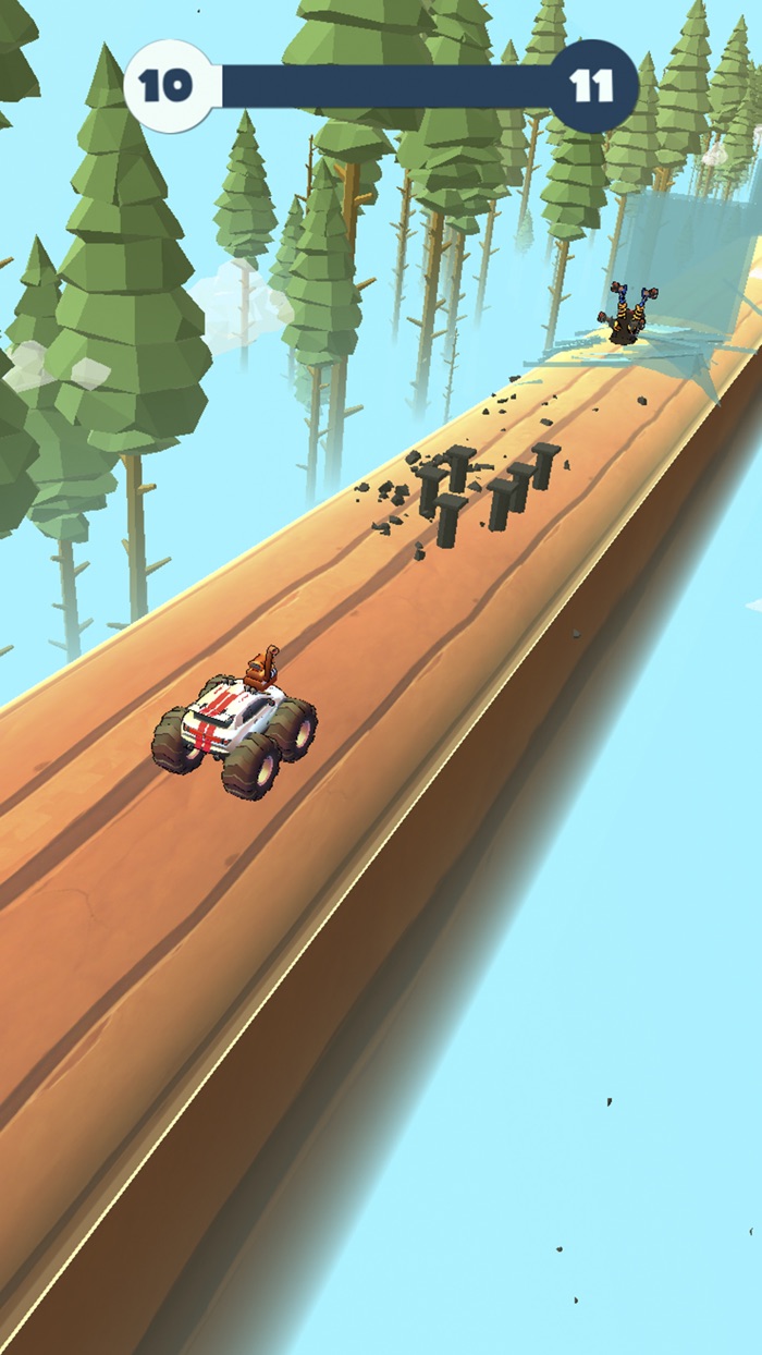 Mad Race 3D
