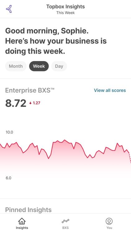 Topbox Mobile Insights