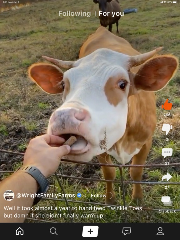 iPad Image of Clapper: Video Community