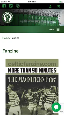 Game screenshot Celtic Fanzine hack
