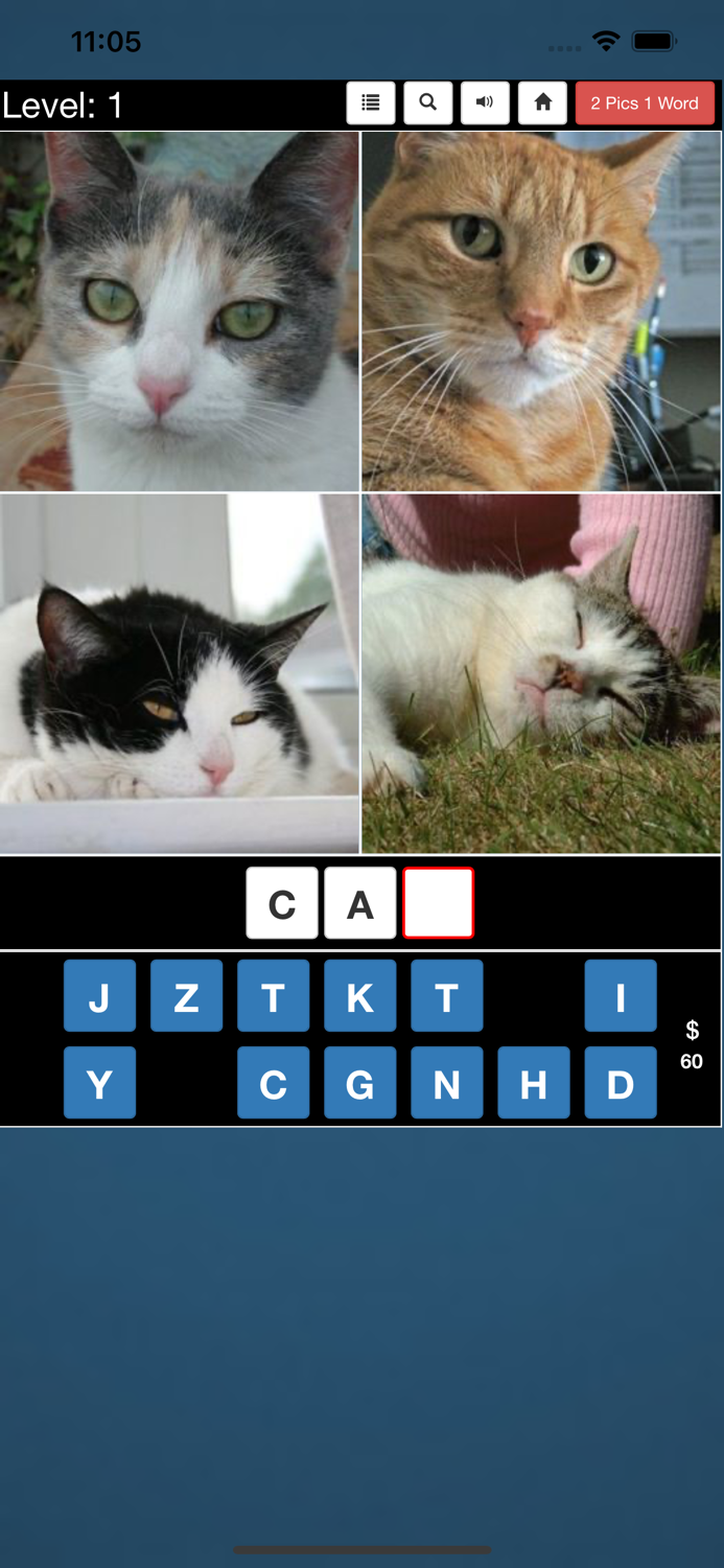4 Pics 1 Word
