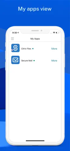 Captura 3 Citrix Secure Hub iphone