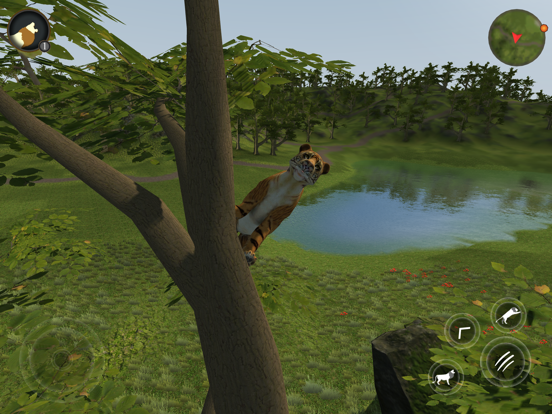 Asian Tiger Survival Simulator screenshot 4