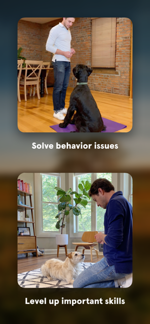 Harper — at home dog training(圖5)-速報App