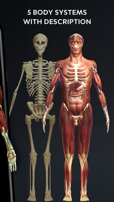 Human Body Atlas: 3D Medical screenshot 2
