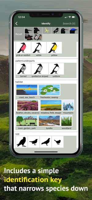 All Birds Scotland Photo Guide(圖9)-速報App