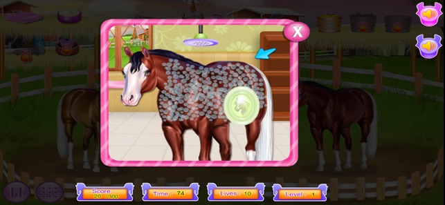 vagt ordningen Marco Polo Horse and pony caring game on the App Store