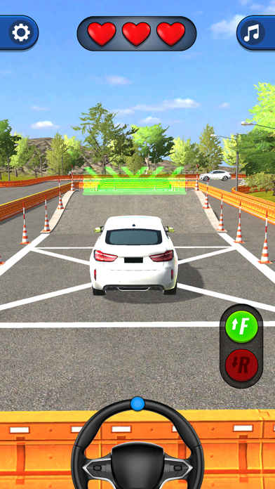Driving School Test screenshot 2