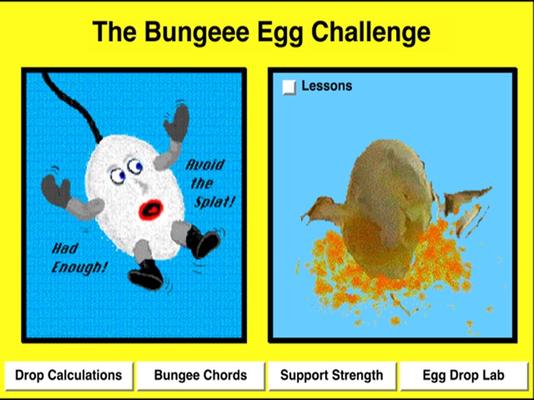 Bungee Egg Challenge