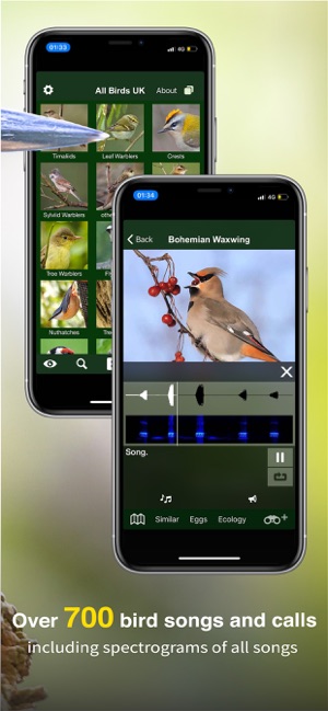 All Birds UK - the Photo Guide(圖3)-速報App