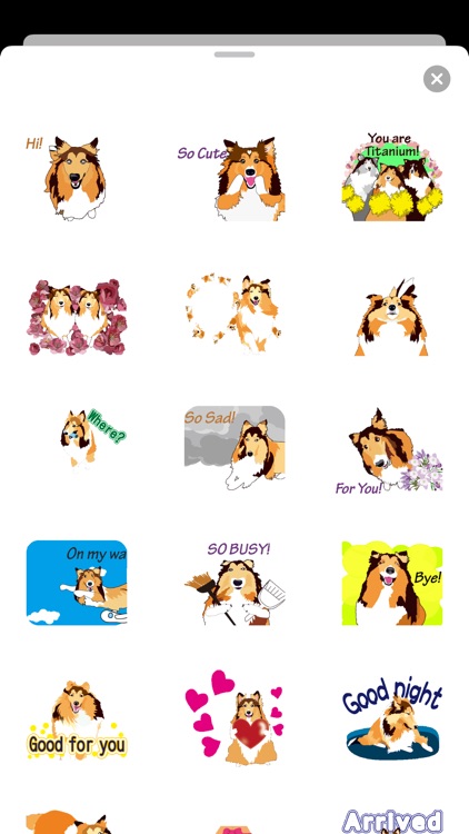 Exciting Sheltie Dog Sticker