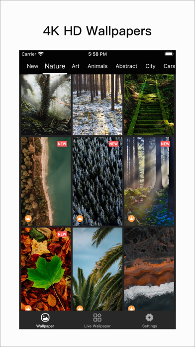 Paper - Live Wallpapers for Windows Pc & Mac: Free Download (2023) |  