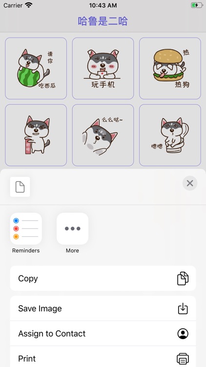 哈鲁是二哈