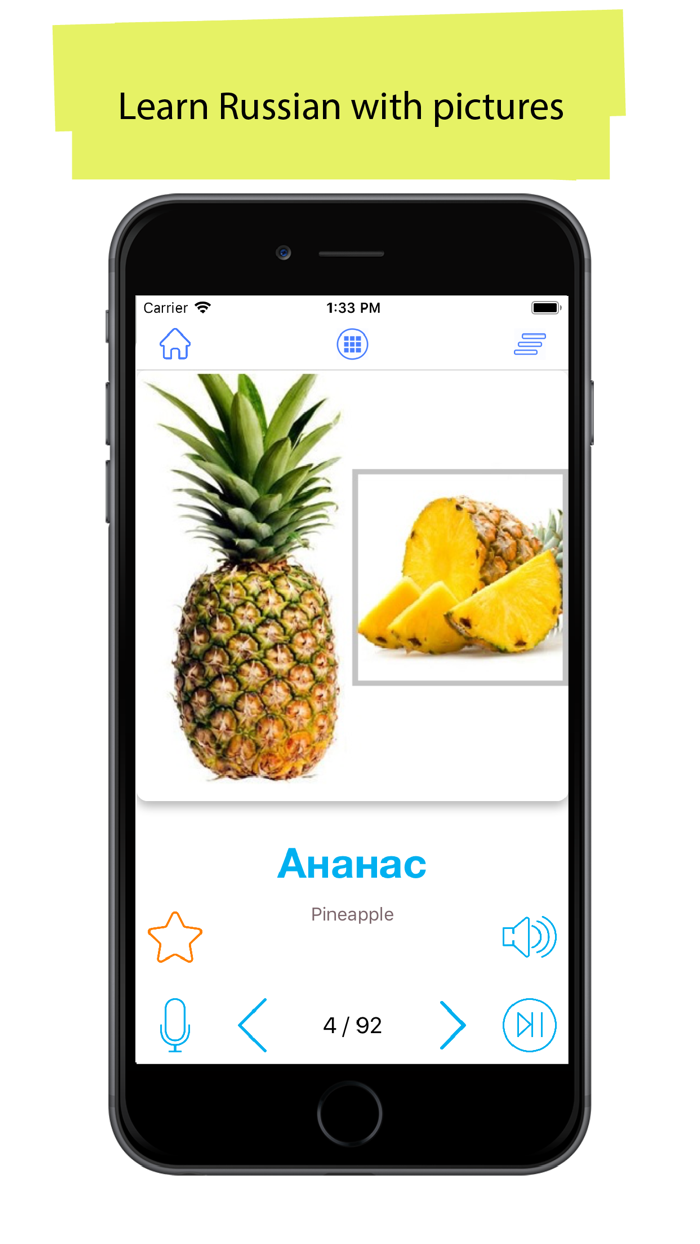 Russian 5000 WordsPictures