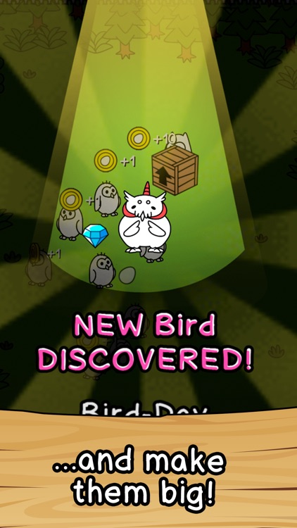 Birds Evolution Merge