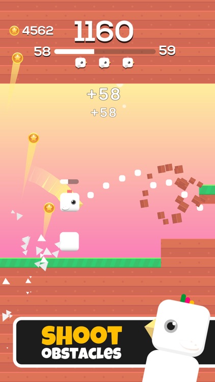 Square Bird.