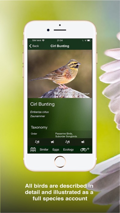 How to cancel & delete All Birds UK - A Complete Field Guide to the Official List of Bird Species Recorded in Great Britain and Northern Ireland from iphone & ipad 4