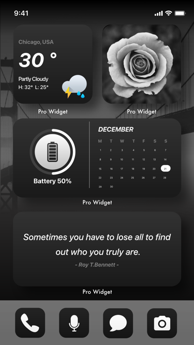 Pro Widget : Color Widgets screenshot 4