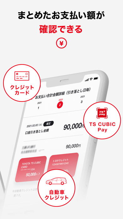 How to cancel & delete TS CUBIC アプリ from iphone & ipad 2
