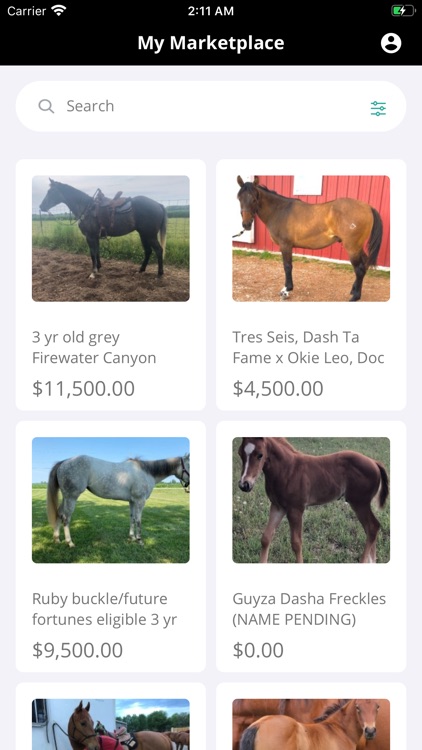 Barrel Racing Horses