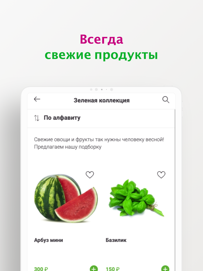 Зеленое Яблоко