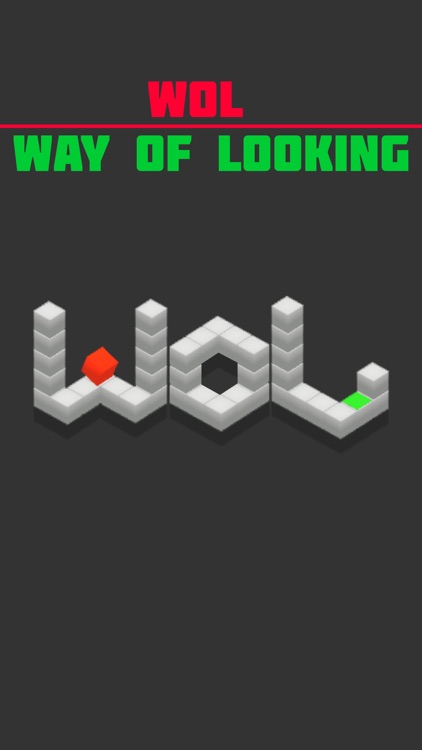 WoL: Way of Looking screenshot-0