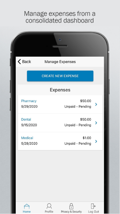 MoneyWise Solutions, Inc. screenshot 3