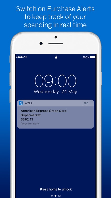 Amex Singapore screenshot-4
