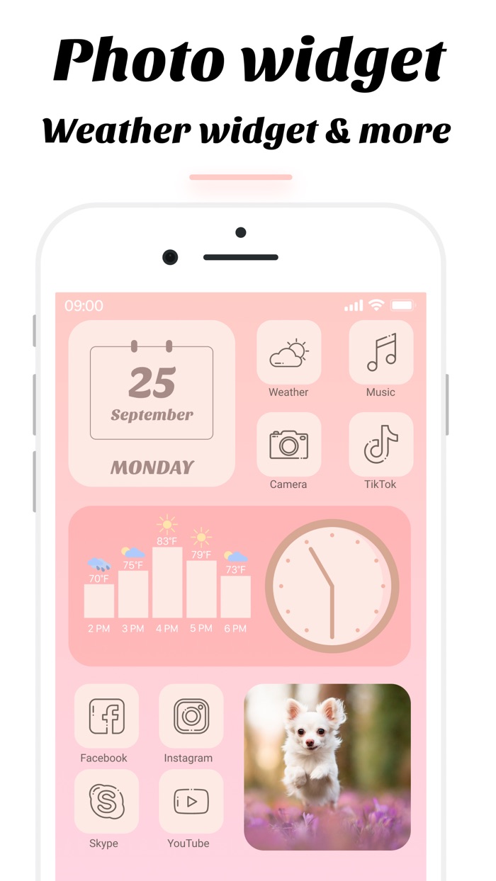 Widgets  icons. Color widget