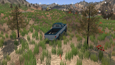 Valley - Offroad Simulation screenshot 3