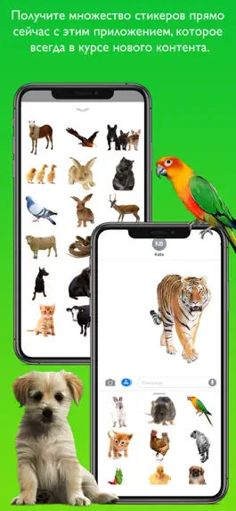 Game screenshot AnimalMoji Stickers hack