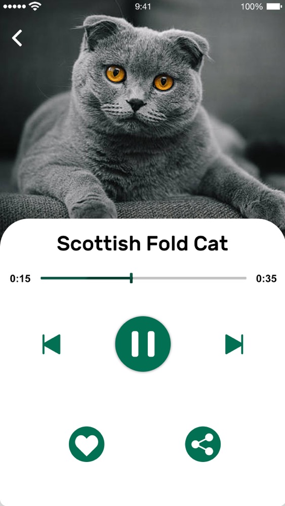 Cat Meow Whistle Sounds App for iPhone Free Download Cat Meow Whistle