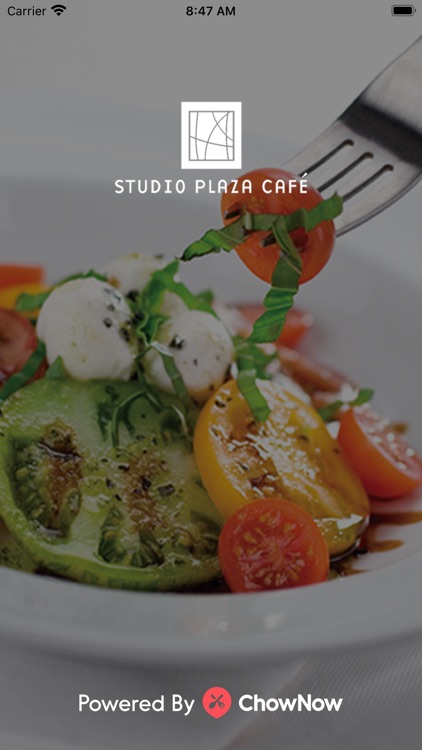 Studio Plaza Café