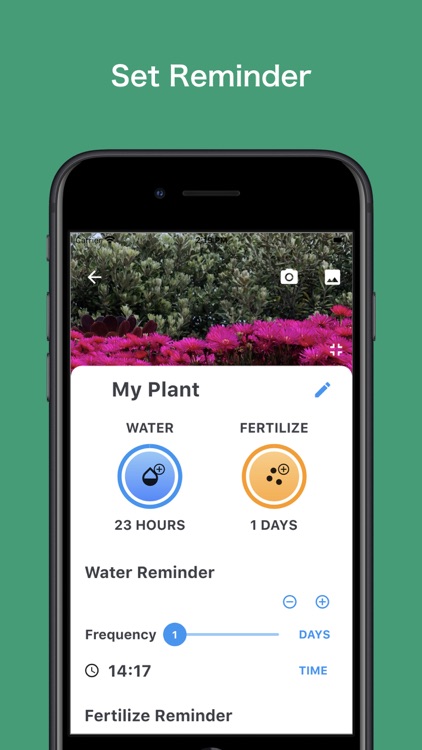 WaterPlantly - Reminder