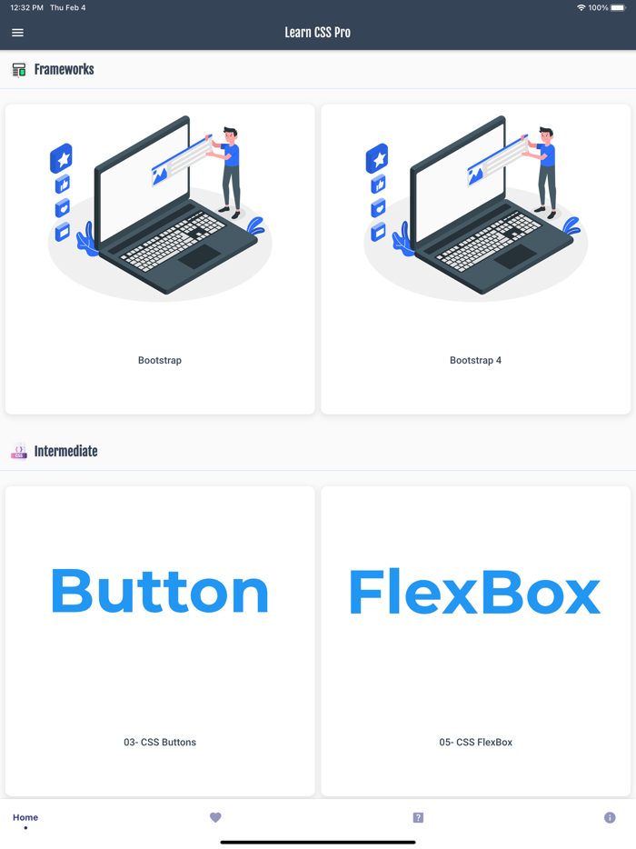 Learn CSS Programming PRO