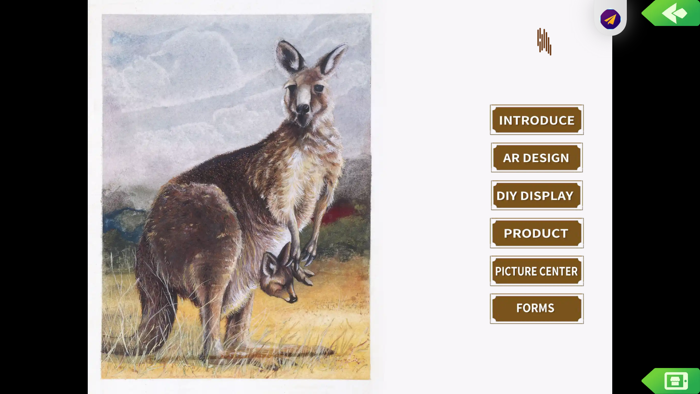 KangarooAppreciation