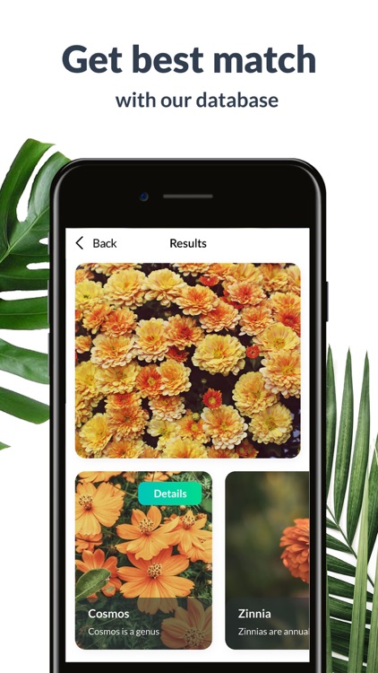 Plant Identification Lite By Forpio Limited