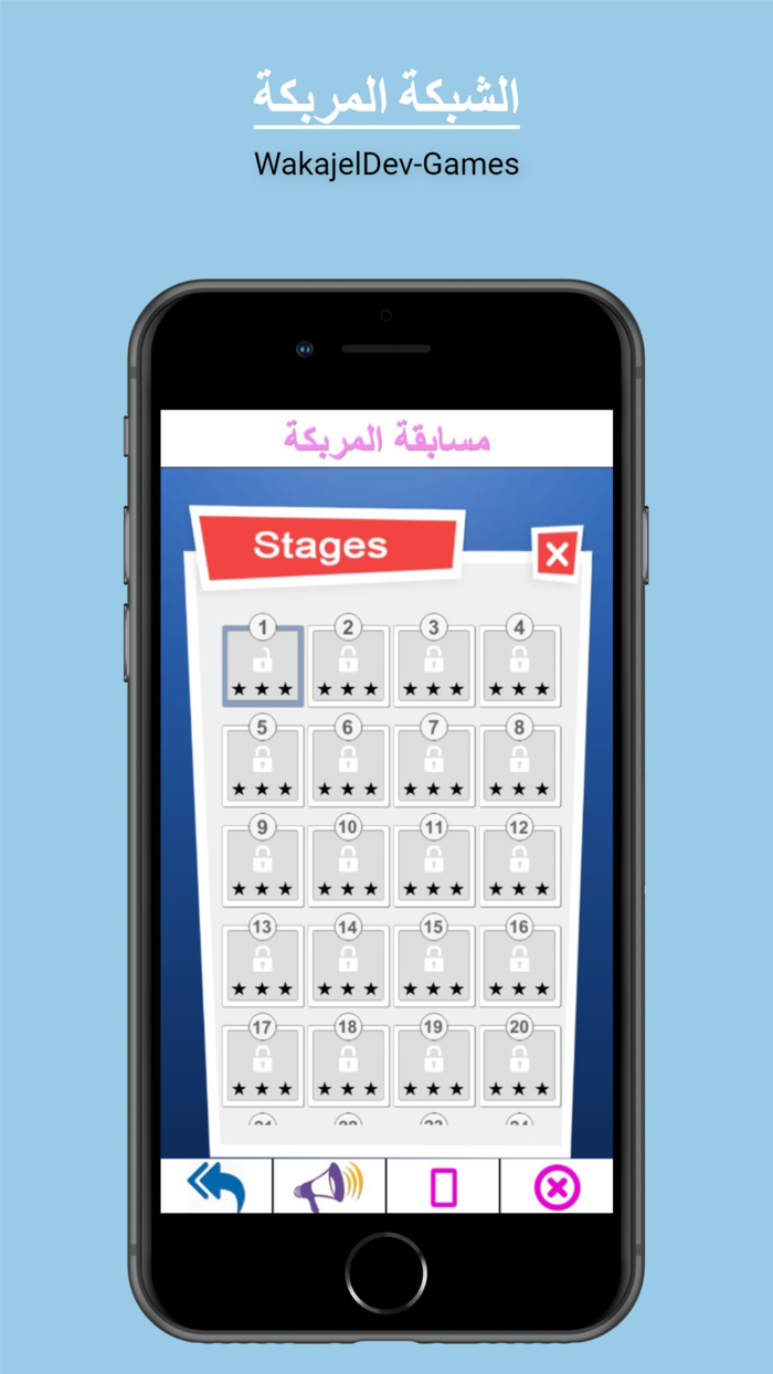 الشبكة المربكة