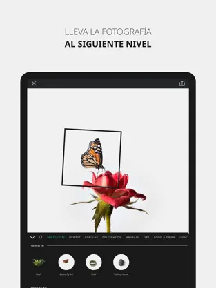 Billede 2 VIMAGE Editor de foto animada iphone