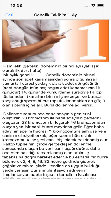 Gebelik hamilelik takibi screenshot 2