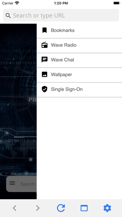 Wave Browser screenshot 2