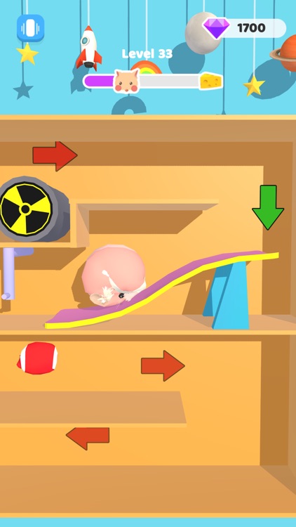 Hamster Maze Run screenshot-4