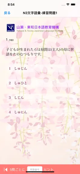 Game screenshot 新しい日本語能力試験文字語彙 apk