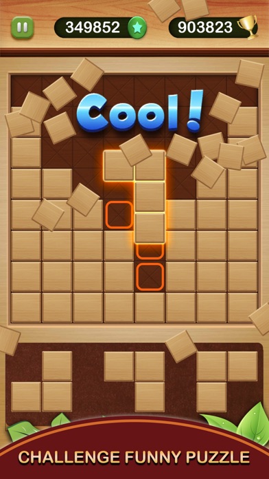 Wood Block Puzzle Box 2023 screenshot 4