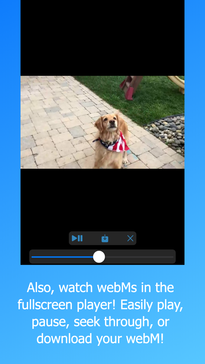 Frost WebM Player Browser