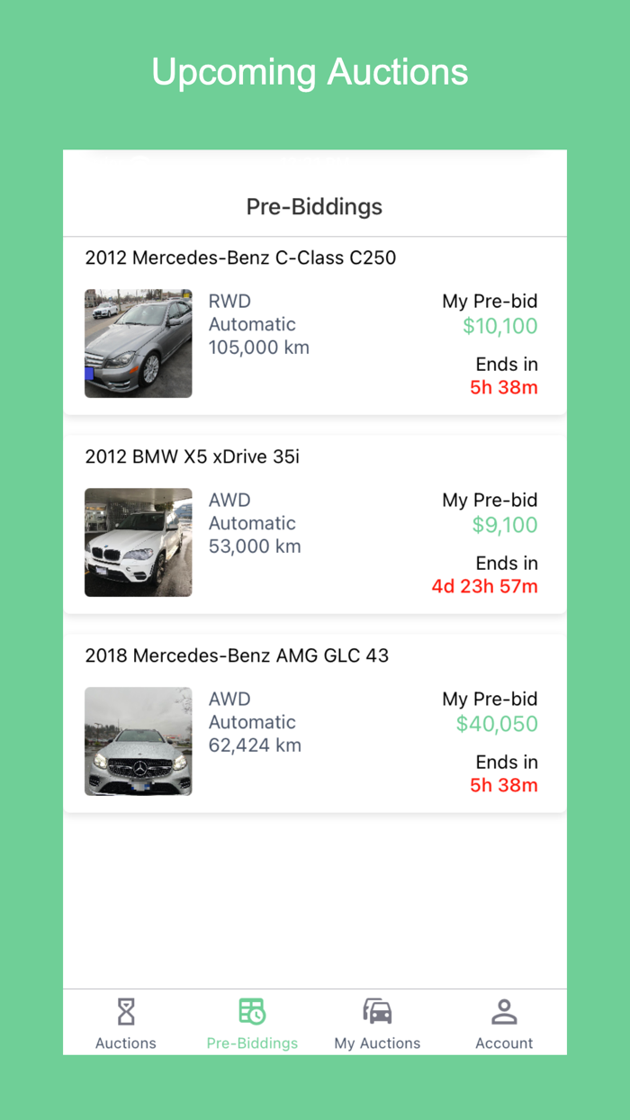AutoFairy Bidder