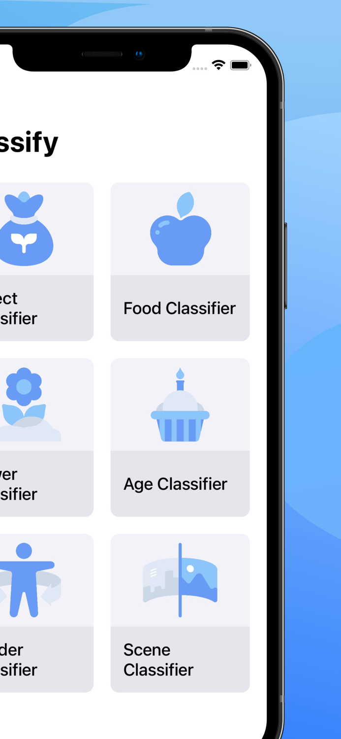 Classify Image Classifier