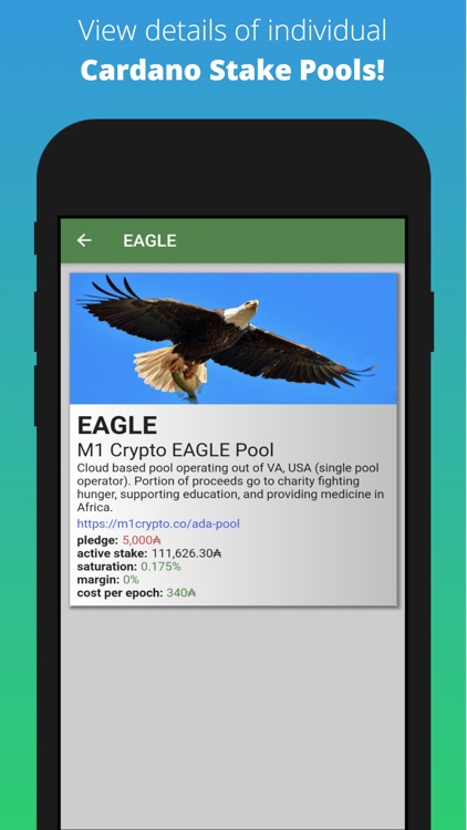 Pool Peek - ADA Stake Pools screenshot-3