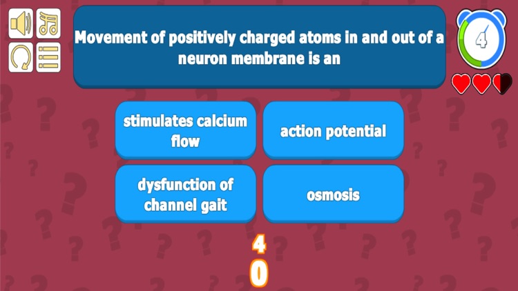 Urinary System Quiz - Anatomy