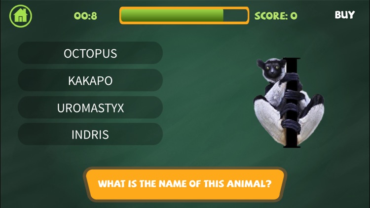 Animal Jam, Kids Learning Tube screenshot-3